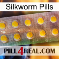 Silkworm Pills new11